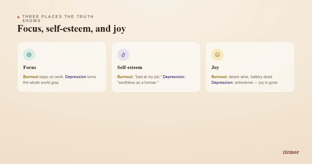 three-key-differences