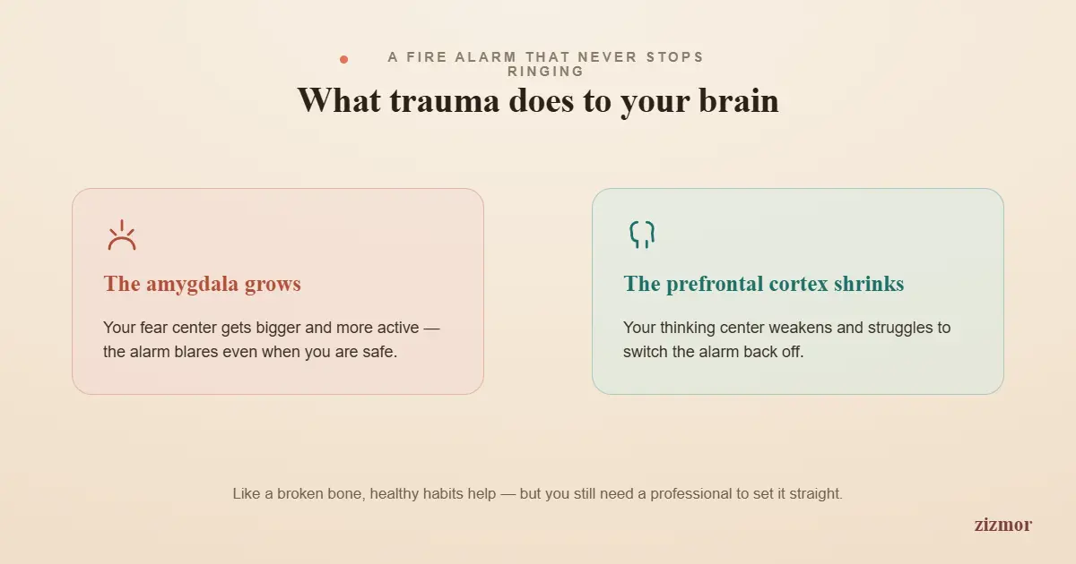 trauma-and-your-brain