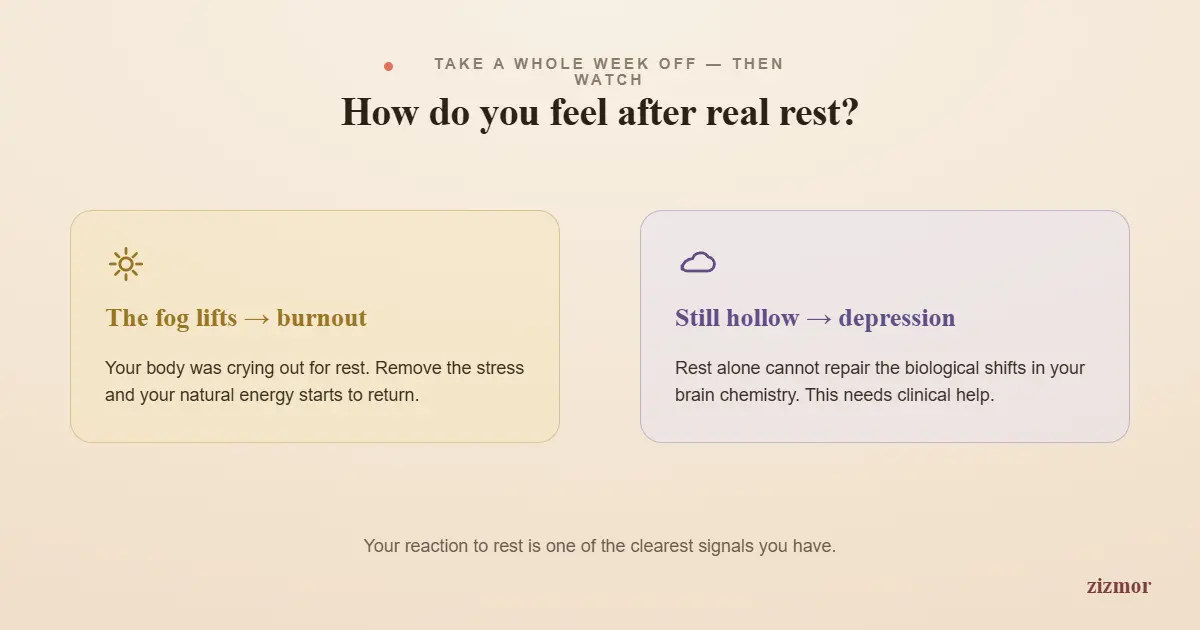 the-rest-test