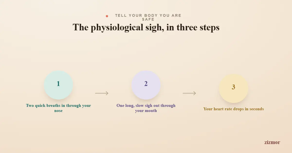 physiological-sigh