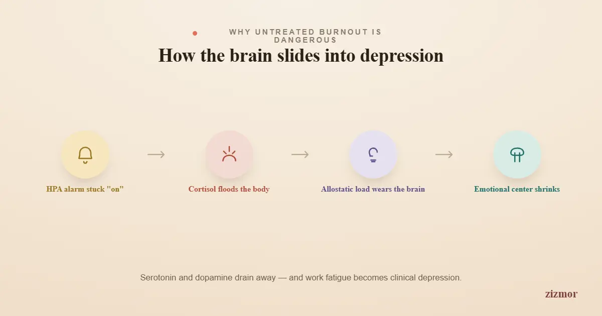 the-brain-slide